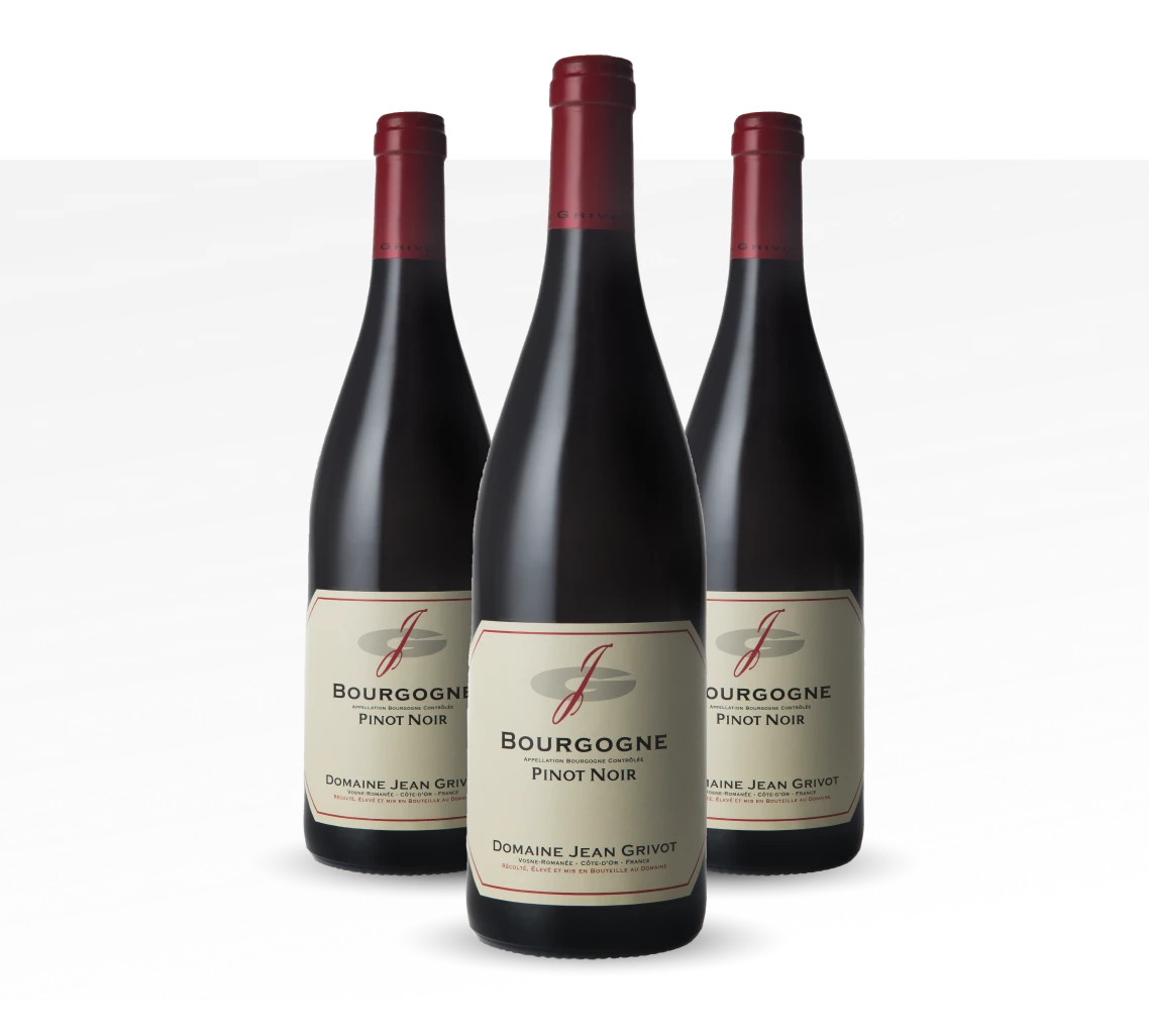 Pinot Noir - Bourgogne - Domaine J. Grivot